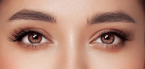 Formation Présentiel Extensions de Cils